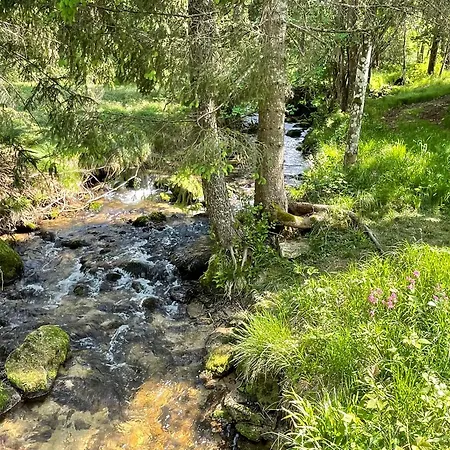 Berghuette, - Schwarzenberg Am Boehmerwald Alpstuga