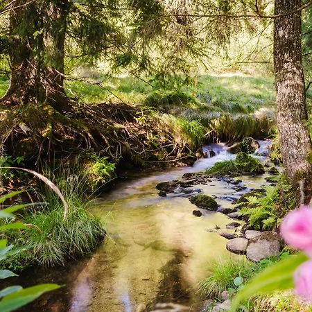 Chalet Berghütte, - Schwarzenberg Am Böhmerwald *