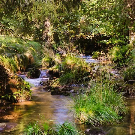 Berghütte, - Schwarzenberg Am Böhmerwald Chalet