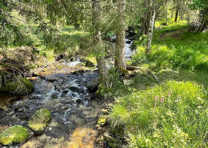 Berghütte, - Schwarzenberg Am Böhmerwald Chalet