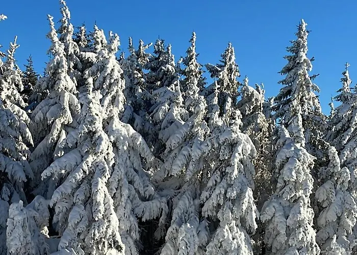 Berghütte, - Schwarzenberg Am Böhmerwald *