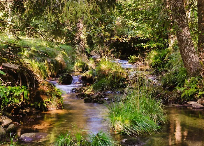Berghütte, - Schwarzenberg Am Böhmerwald Chalet