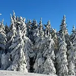 Berghuette, - Schwarzenberg Am Boehmerwald *