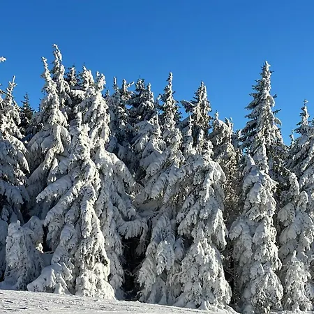 Berghütte, - Schwarzenberg Am Böhmerwald *