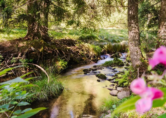 Horská chata Berghuette, - Schwarzenberg Am Boehmerwald *