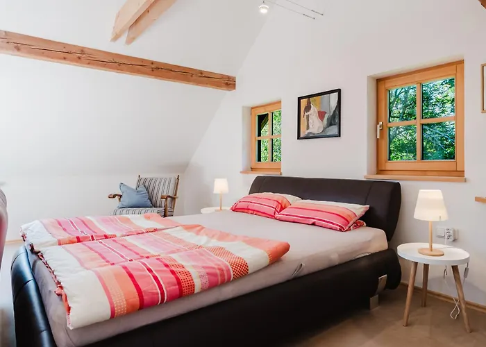 Horská chata Berghuette, - Schwarzenberg Am Boehmerwald *